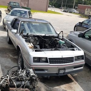 Meet your Posher, Vernon